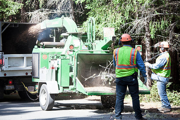 Leaf Removal in Greenfield, OH